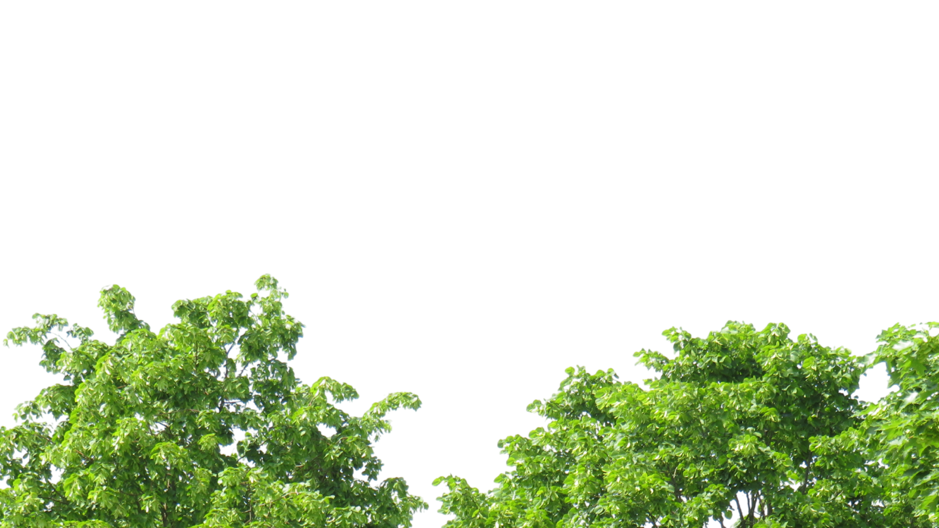 Konkret klimahandling
