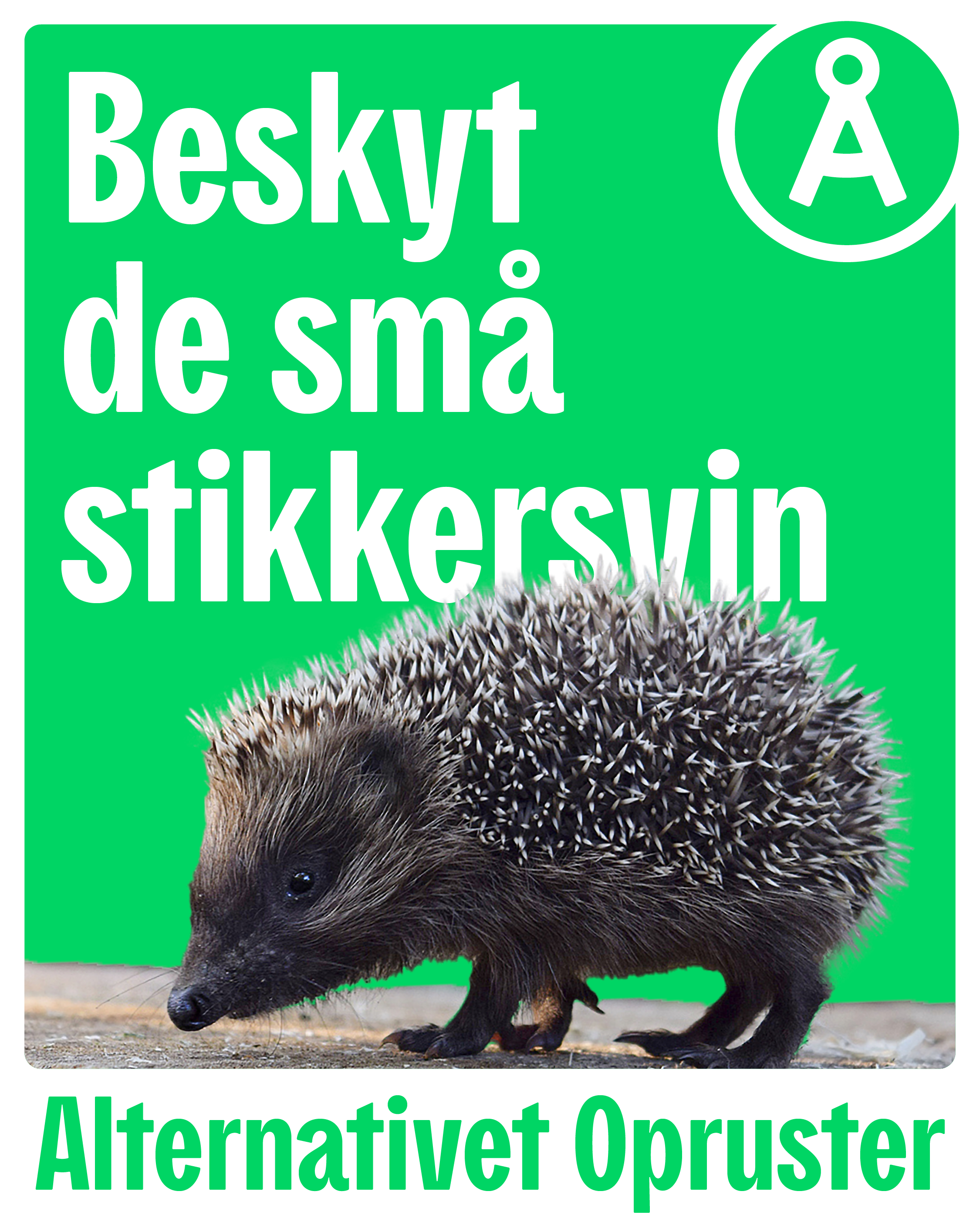 Beskyt de små stikkersvin plakat